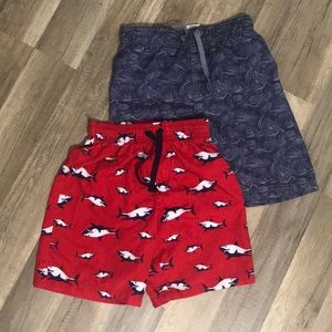 Set of Boys Swim Trunks